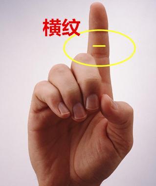 食指出现此纹路,一生有盼头,富贵有望!