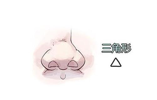 第四种:三角形鼻孔这种鼻孔的人他们比较以自我为中心,通常只考虑自己