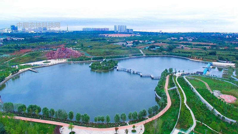 雄伟壮观黄河小浪底!一县一品公益助农,河南孟津特产黄河鲤鱼