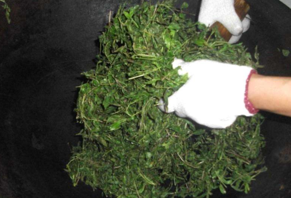 农村大哥上山找野生茶叶,人称"藤茶",晒干泡水喝味道先苦后甜