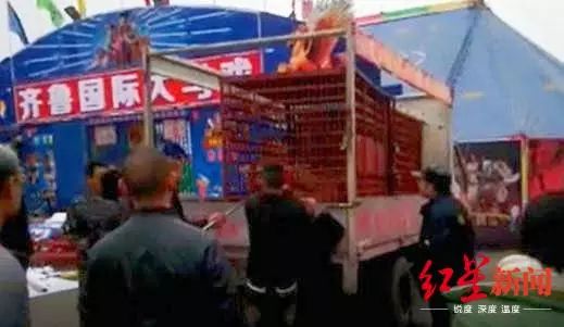 �����ֱ��ϻ�ҧס��ͼ������