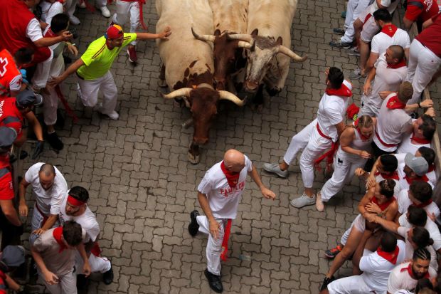 潘普洛纳举行了西班牙最著名的奔牛节,在节日的第一天,一个人被顶伤