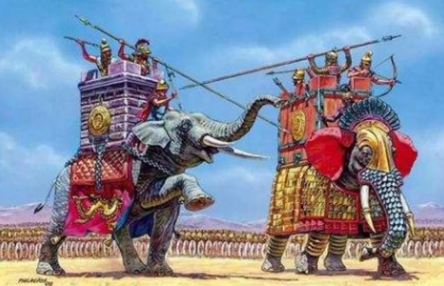 战象背部不能负重上战场就是一次性用品大象表示这是东保瞎说