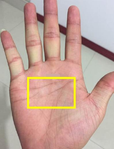 在掌心出现了一个闭合的四边形或者是三角形,一般这样的女人财运非常