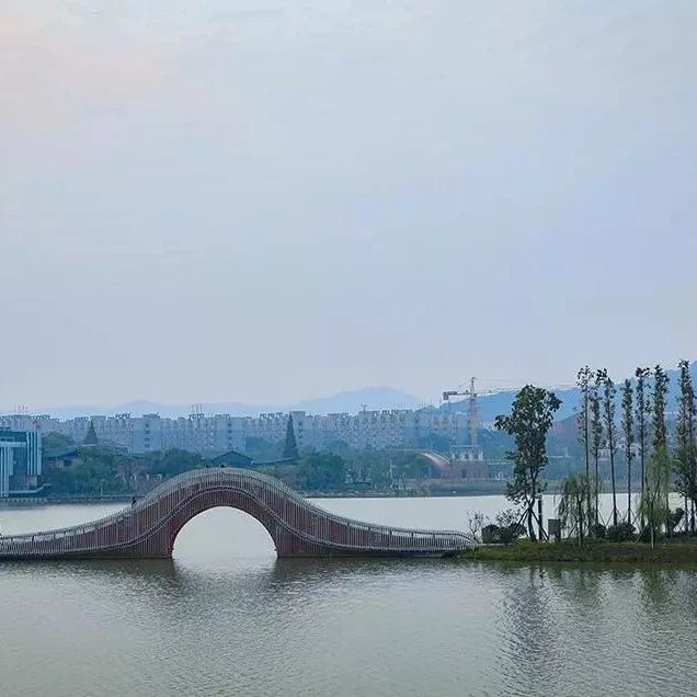 美丽河湖 | 从黑臭水体到“网红”胜地 长沙后湖的“前世今生”|后湖_新浪新闻