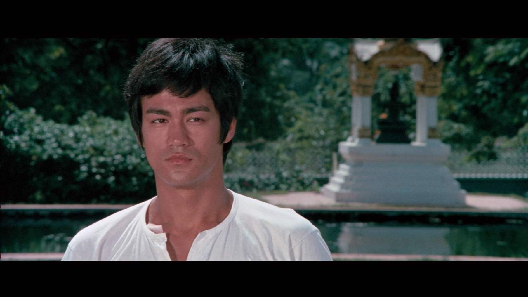 为什么看似十分简单的剧情唐山大兄电影能够打破票房纪录