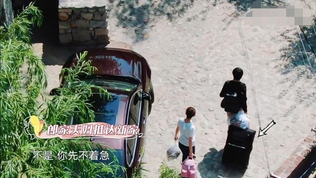 为避免郎朗手受伤，吉娜不让丈夫做家务，巧妙应对婆婆催生甜到齁