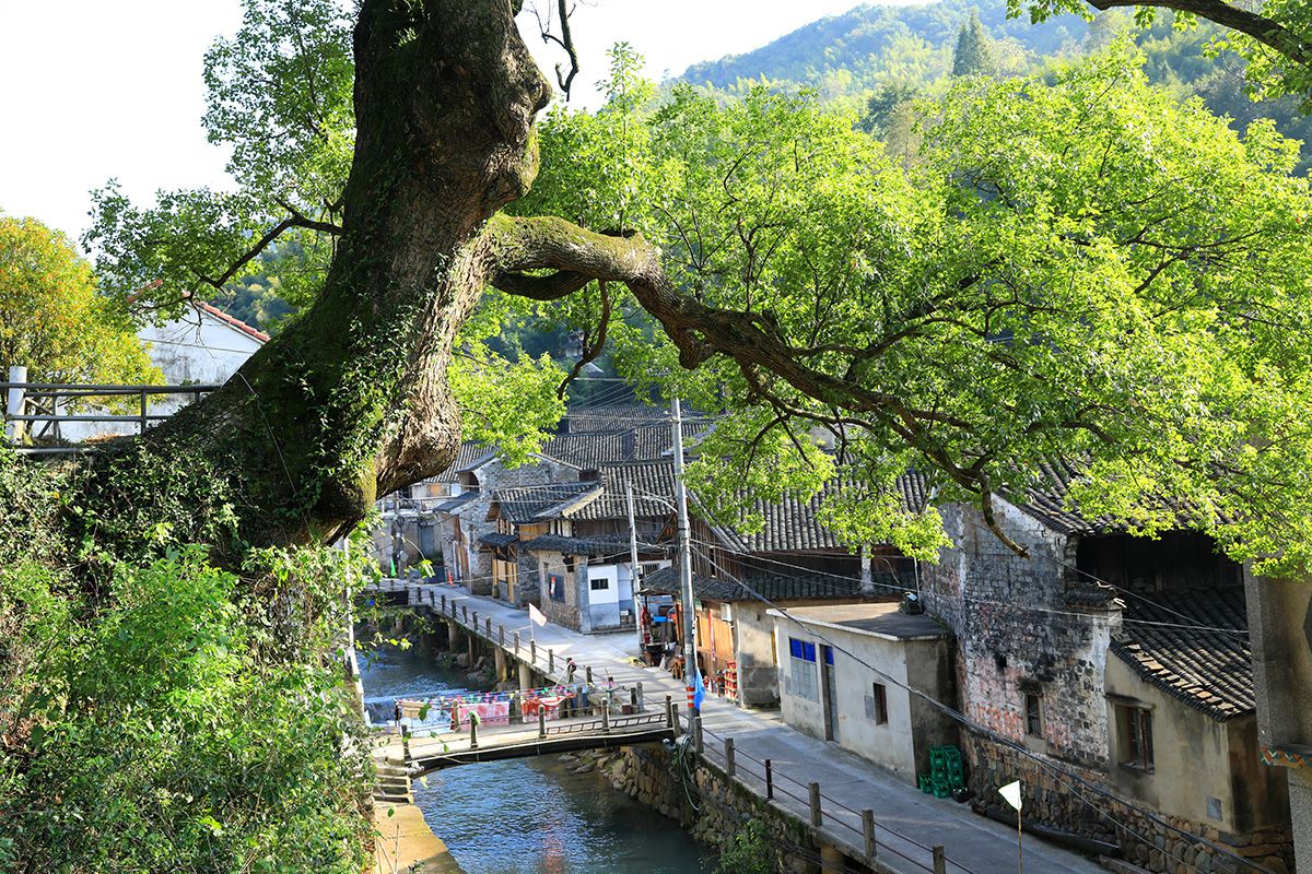 2004年,石门村与上游的敏坑村,合并为石敏村,终于有了区别.