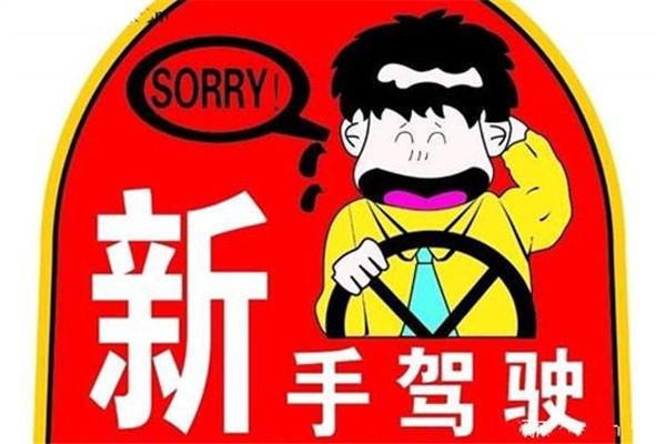 新手开车上路,应该注意那些事项