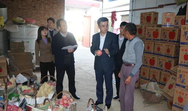 彬州市委书记钟伟到龙高镇检查脱贫攻坚工作