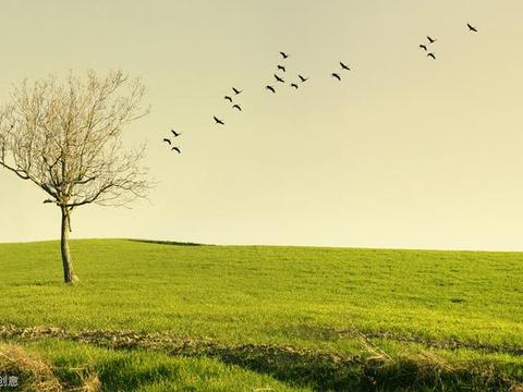 SEO文章写作与外部链接发布 高效SEO优化技巧