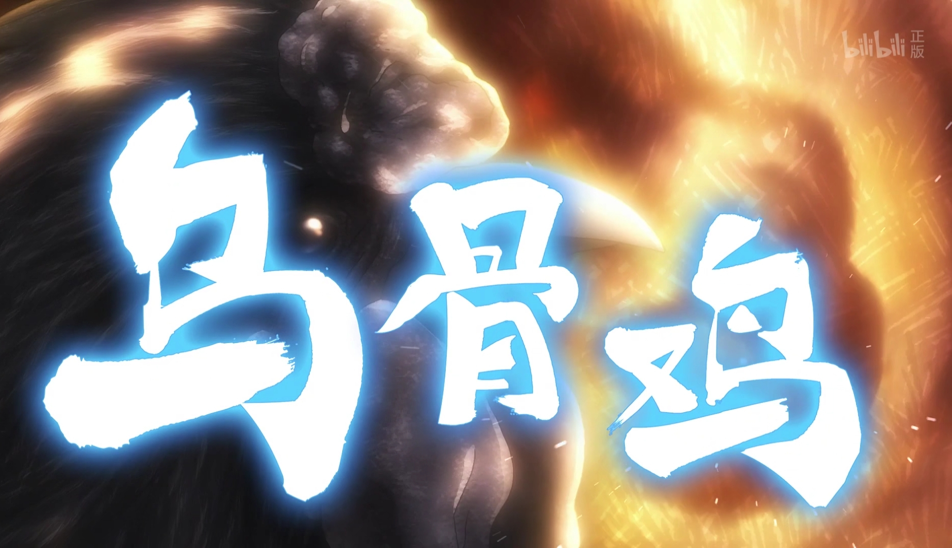 厨神小当家黑羽楼的故事其实并不合理鸡专家不知道乌骨鸡