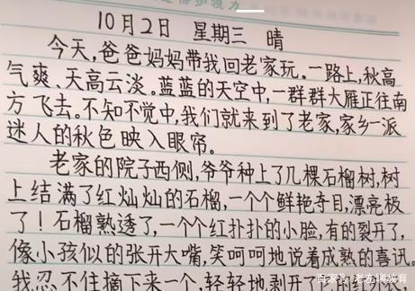 二年级小学生写字作业,字好看成绩拔尖,老师:写好字很重要|小学生|写字|年级_新浪新闻