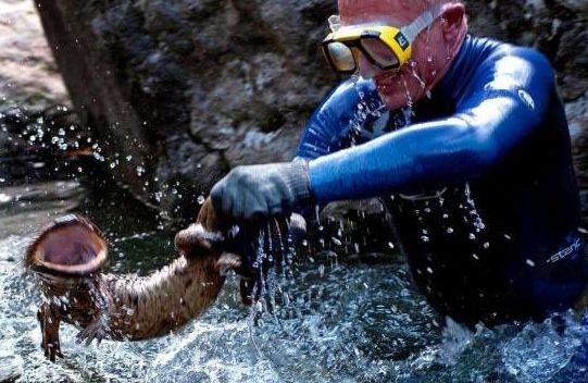 水库罕见吃人水怪,多年来吃人无数