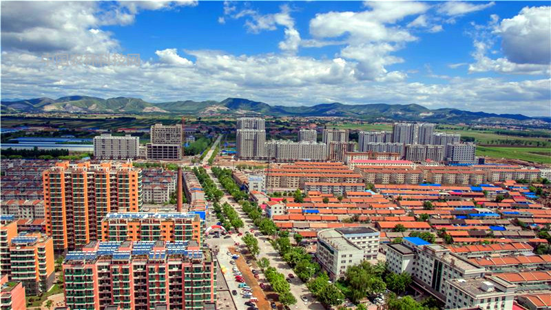 一县一品公益助农,河北玉田特产金丝小枣