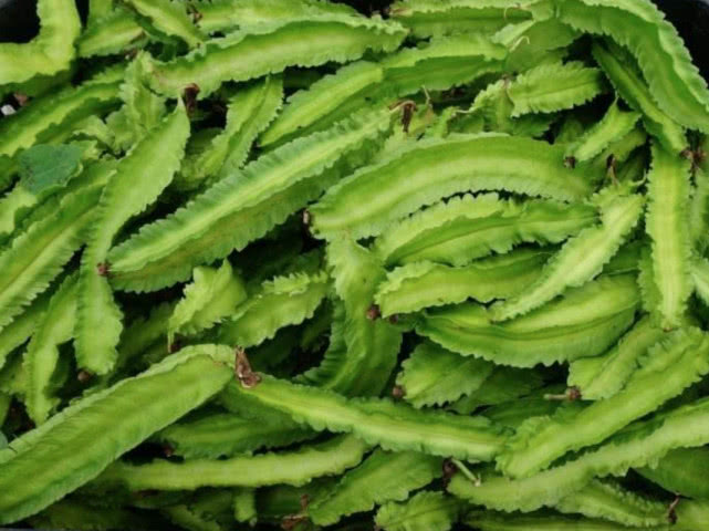 外国这种豆一斤卖20美元,国内却拿去喂猪,而有人靠它赚钱