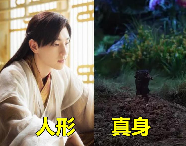 人形vs真身,锦觅是霜花,凤九是狐狸,看到东华帝君:噗嗤笑了