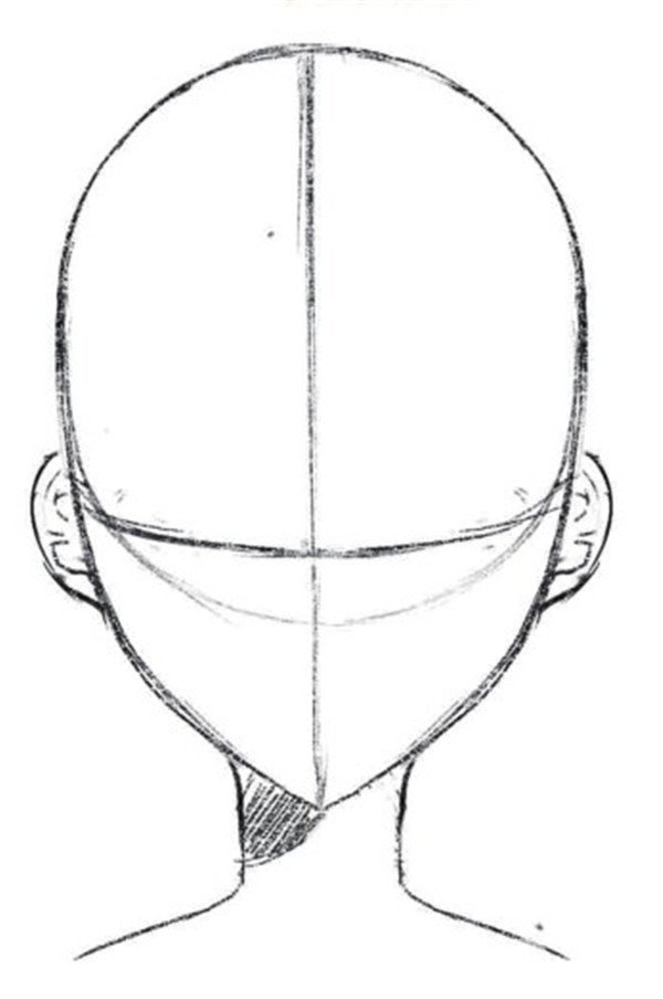 怎么画好动漫人物头部?动漫人物头部画法教程!