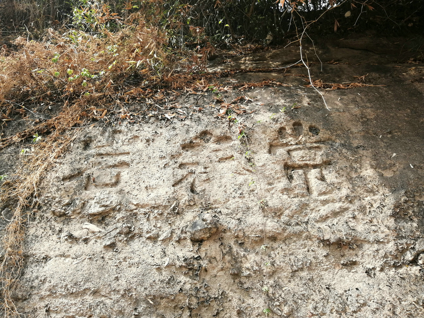 广州“第二”古海蚀遗址,有“南海碣石”之称,游客:大海呢?|南海|南湾公园|南湾_新浪新闻