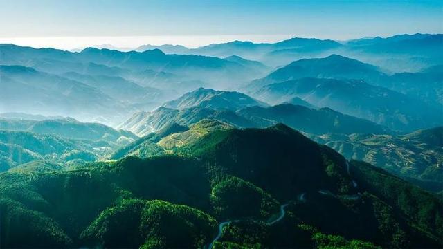 秋冬的柏树林是什么颜色?快去景宁敕木山看一看