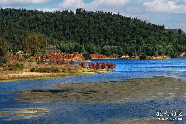 这里是昆明人自己的世外桃源 那秋红,仿佛一幅浓墨重彩的油画