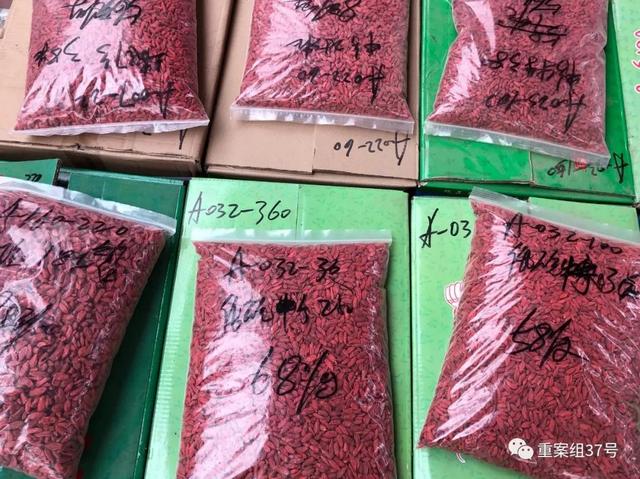 宁夏枸杞地下加工黑幕：商贩用硫磺熏，颜色更红卖相好