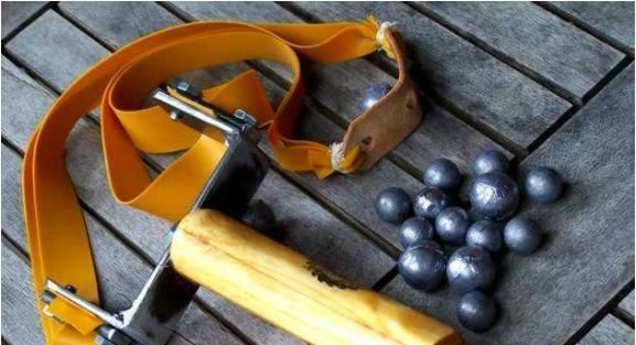 合肥一男子被狗咬拿弹弓报仇,结果打中同事眼球致其失明