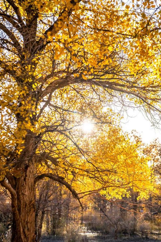 最小众的观赏点原来在这里,美成一幅画