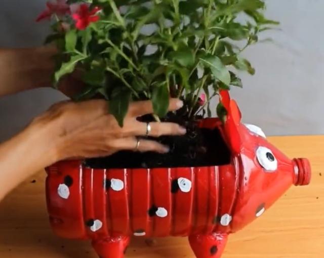 阳台养花别再买花盆,"深加工"塑料瓶,个个都能美成"艺术品"