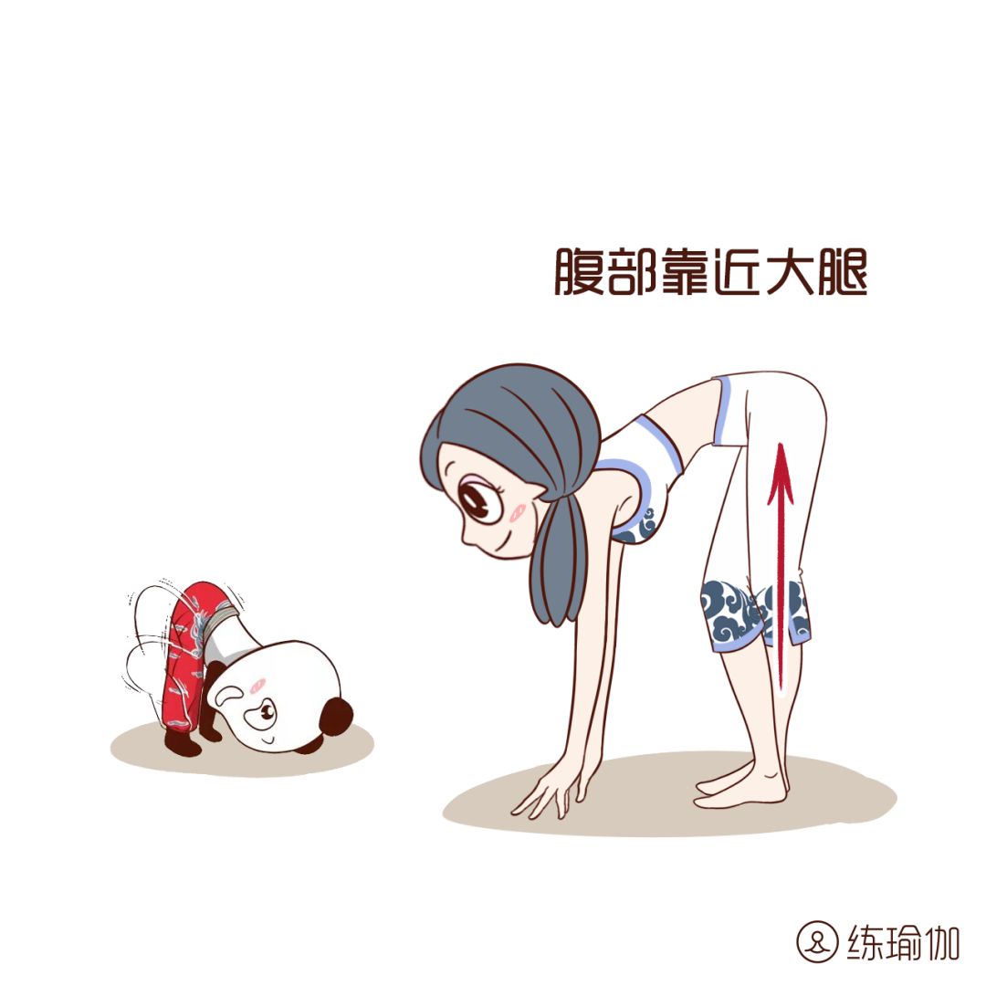 晨起拉一拉紧致全身松垮,小肚子拉没了,再粗的大腿都瘦成纤细笔