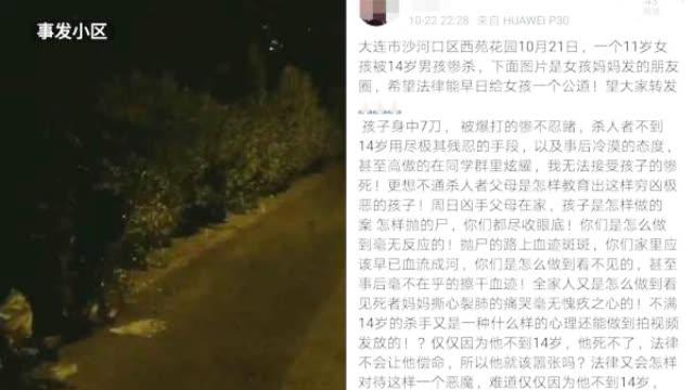 政府收容教养:13岁男孩杀人被收容教养 媒体:合理合法值得肯定