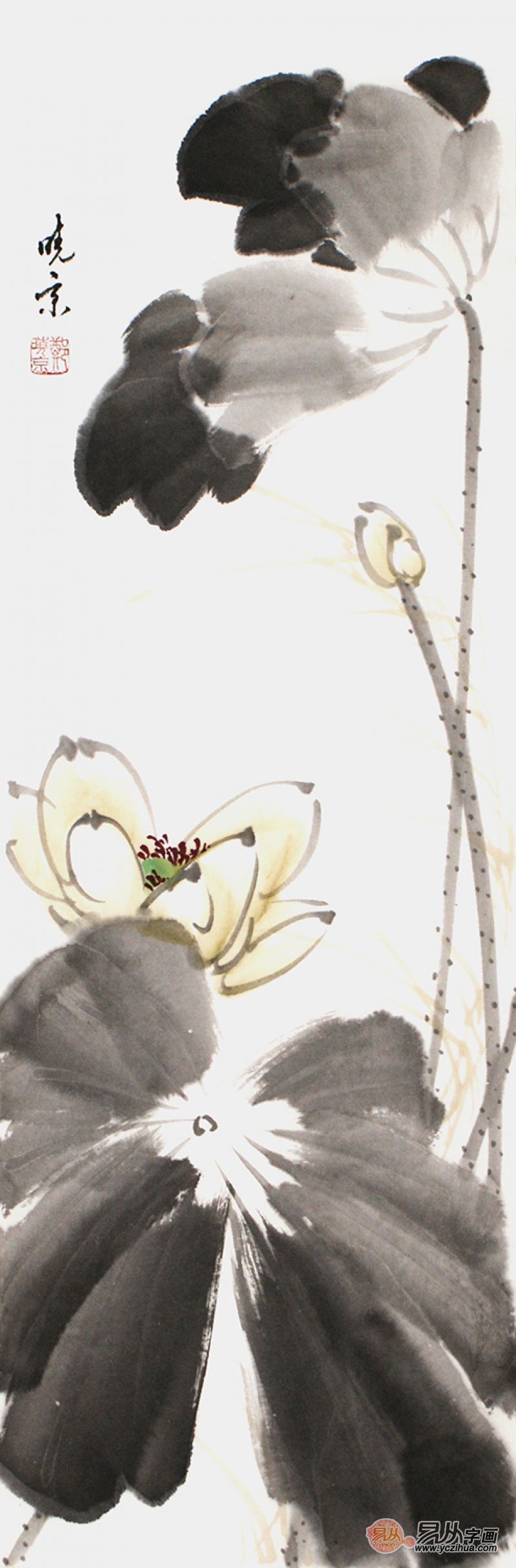 名家大师画推荐 国画装饰 大气不失风采的花鸟国画|国画|兰花|花鸟画_新浪新闻