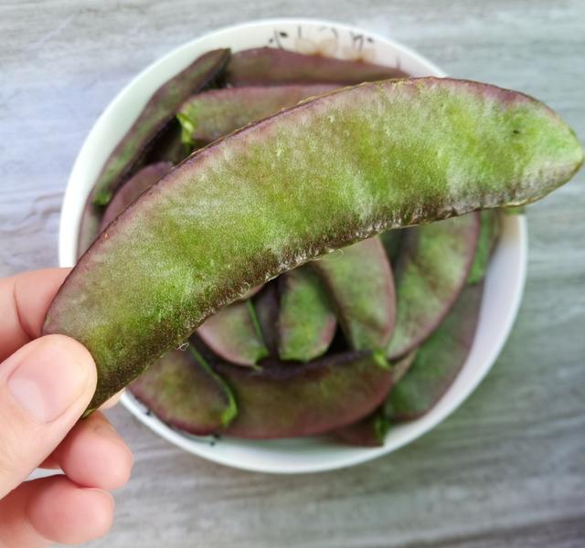 家常柴扁豆炒肉丝