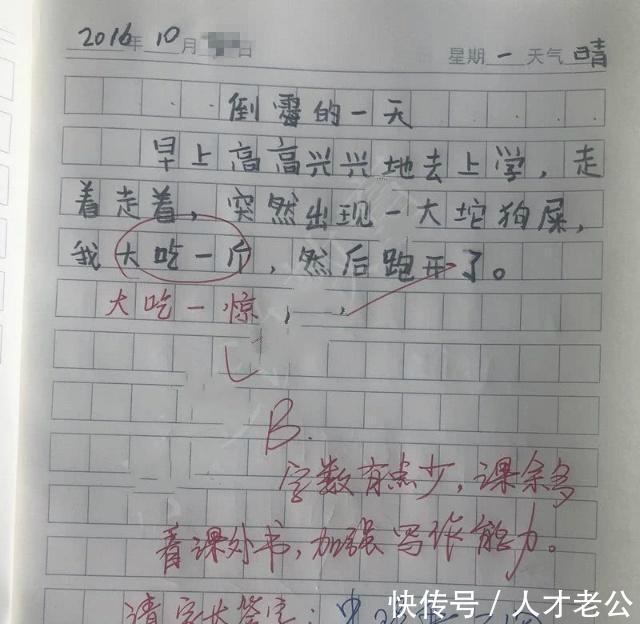 小学生作文意外“走红”，老师看了直呼人才，网友：妙笔生花！