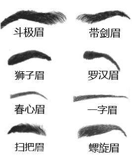 面相眉毛解析:相学眉毛图解,从眉毛看人生诀窍!
