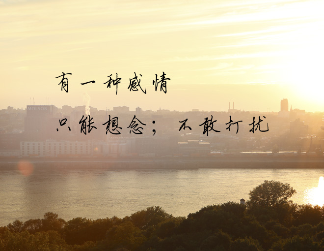 有些人只能想念,不敢打扰