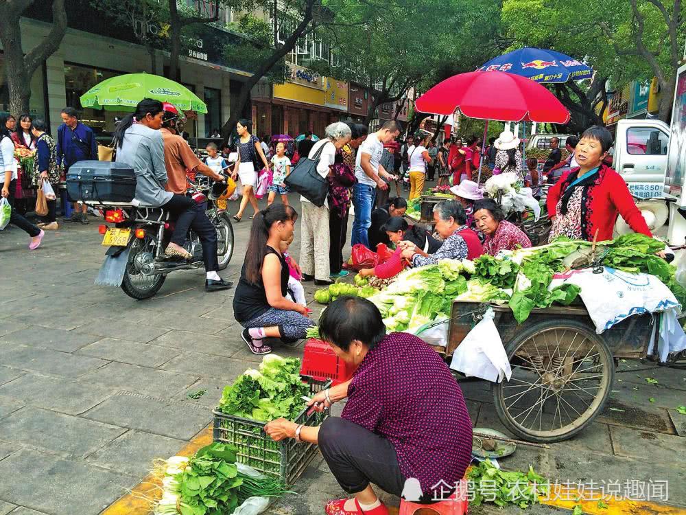 以前城里摆摊卖菜的农民随处可见如今却消失了究竟怎么回事