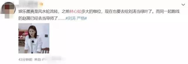 林心如上综艺太在意美貌，化妆导致晚起，咖位大降频频被怼