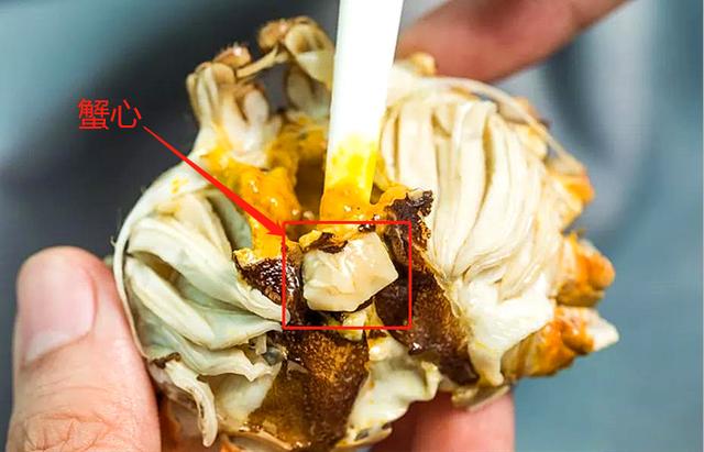 涨知识了|大闸蟹|部位|蟹黄_新浪新闻