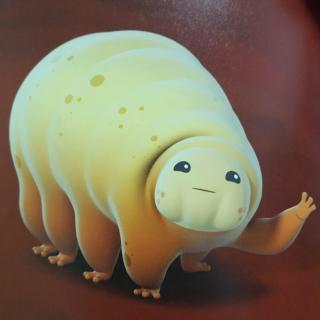 与太阳同寿的水熊虫,既杀不死,也不会老死