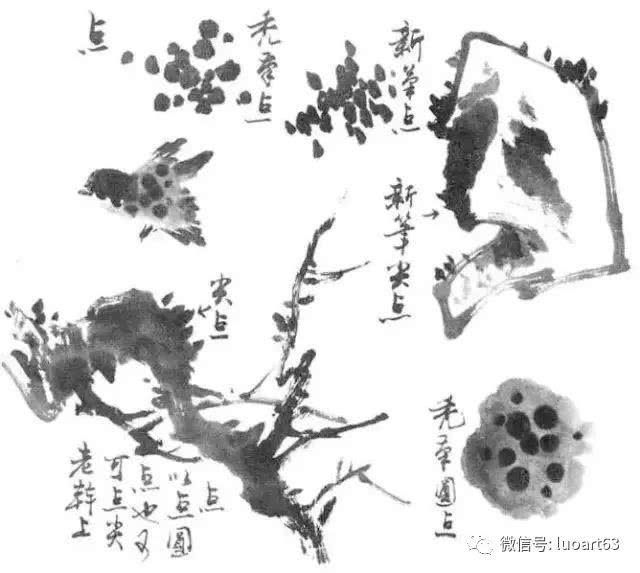 写意花鸟画笔墨技法:笔锋使用详解|笔锋|笔法|笔杆_新浪新闻