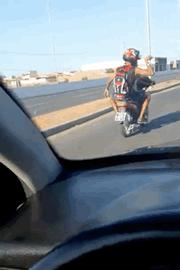 网友在路上看到狗 骑 摩托车载着两个人 狗子 我有点上头