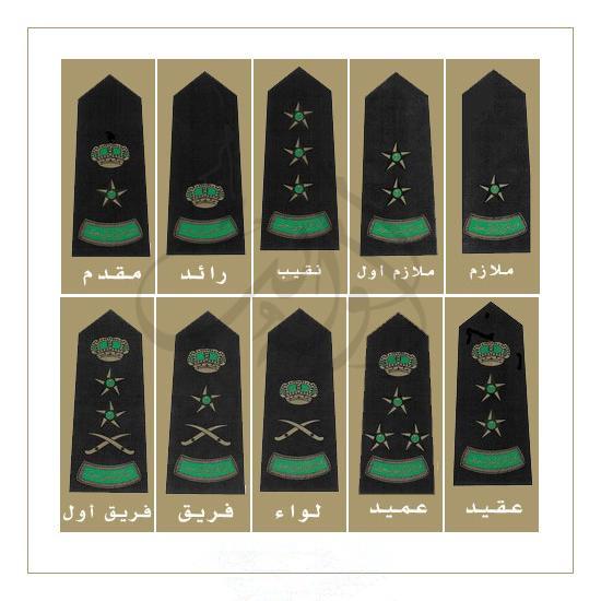 沙特阿拉伯军衔,"石油王国"使其成为世界上最富裕的国家之一__财经