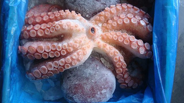 八爪鱼最近在网上特别火网友吃八爪鱼要不要去除内脏呢