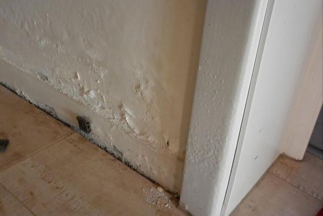 卫生间门口总是潮湿发霉老师傅返工吧装修这3个地方没做对