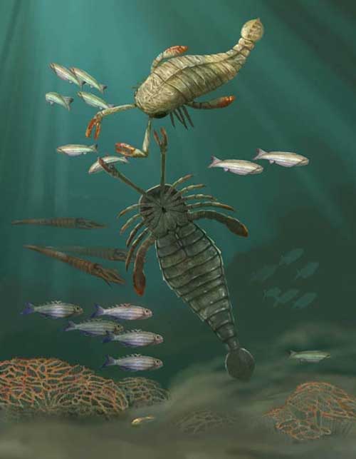 房角石,是一种已经灭绝的头足纲生物,生活在泥盆纪.