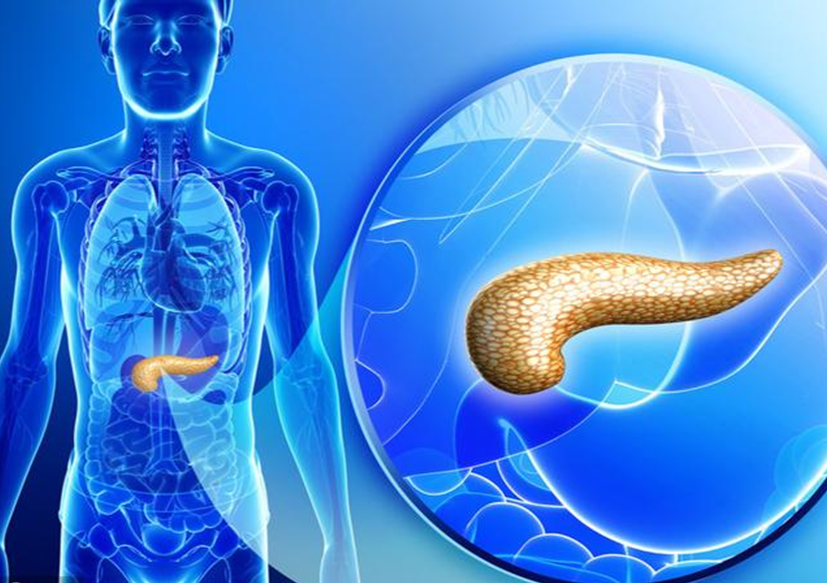 糖尿病是什么胰腺又是在糖尿病中起到什么作用