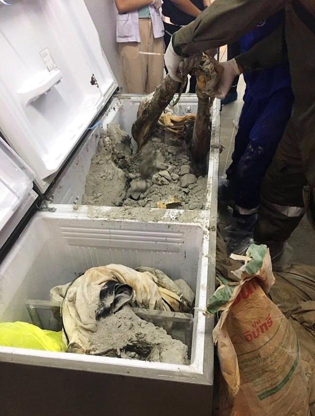 生前爱行善,泰女富豪遭密友谋财害命,惨遭"冰箱水泥封尸"