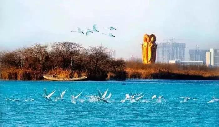 济宁太白湖小北湖