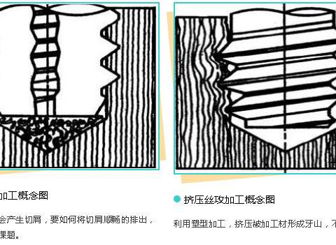 无削丝攻攻牙的特性与过程|丝攻|内螺纹|牙山|孔径|牙口_新浪新闻